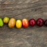 cherry ripening