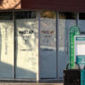 madcap ferndale