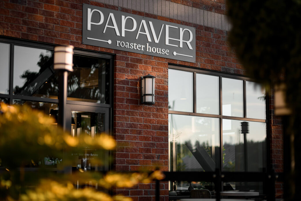 papaver 2