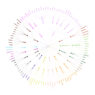 robusta flavor wheel