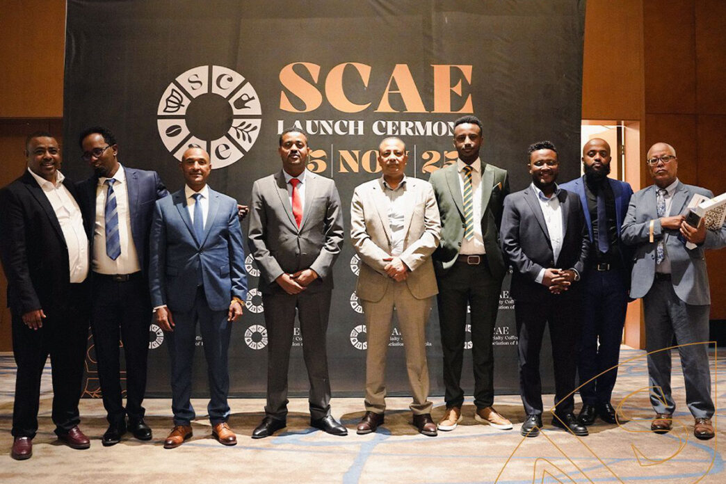 scae6