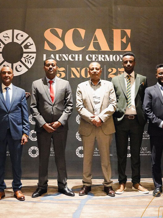 scae6