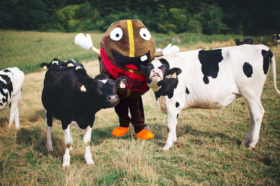 spesh cows
