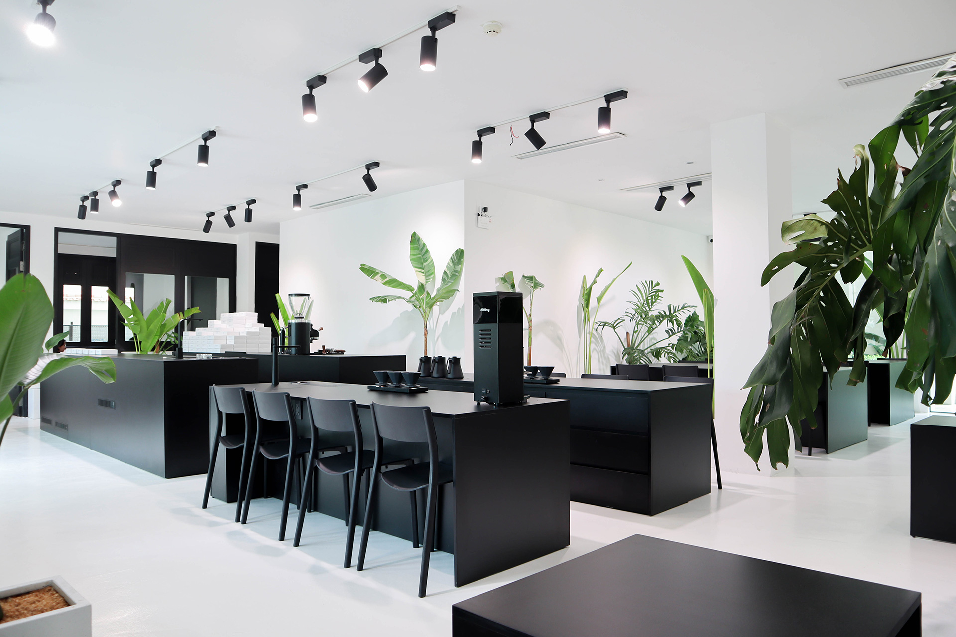 xliii coffee 10