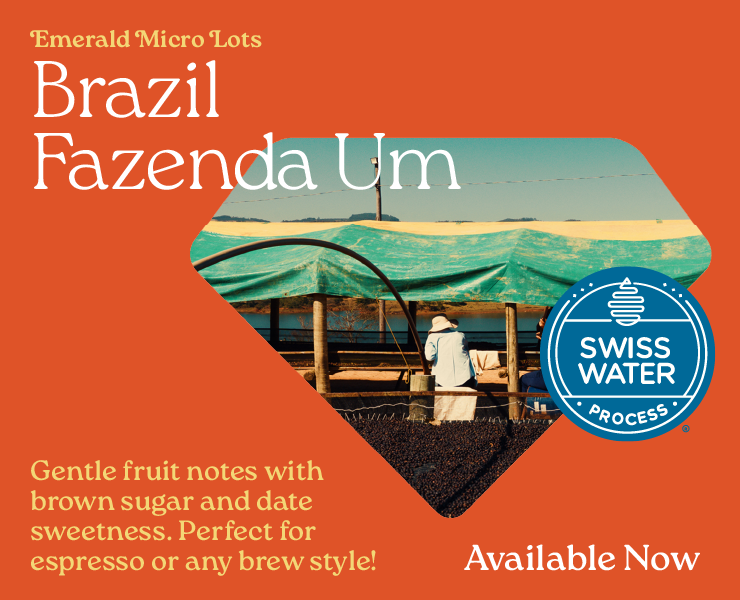 swiss water coffees
